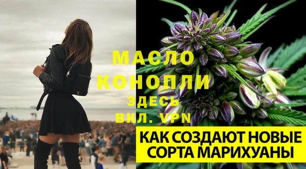 метамфетамин Елизово
