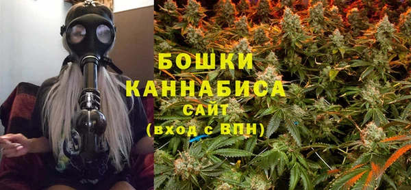 индика Нефтегорск