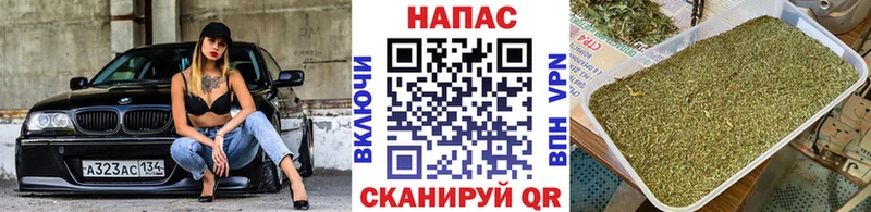 Бошки Шишки конопля Судак